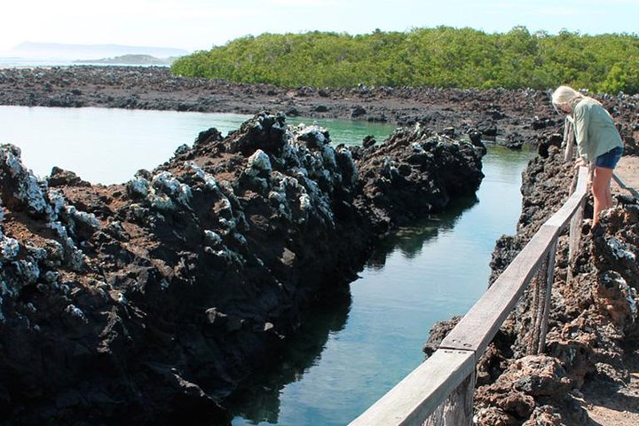  Tour of the city to Isabela + Tintoreras from Santa Cruz - Photo 1 of 4
